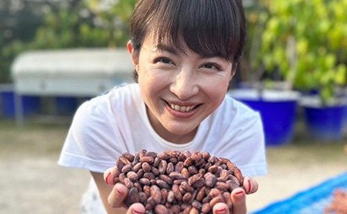 平井理央アナ　チョコレートで起業