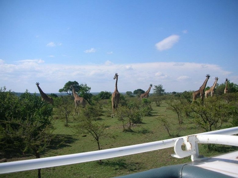 ケニアでサファリを見に行ったときの1枚。雄大な自然がごく身近にあった