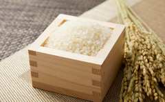 コシヒカリだけじゃない！令和元年米の特Aランク「森のくまさんって何!?」