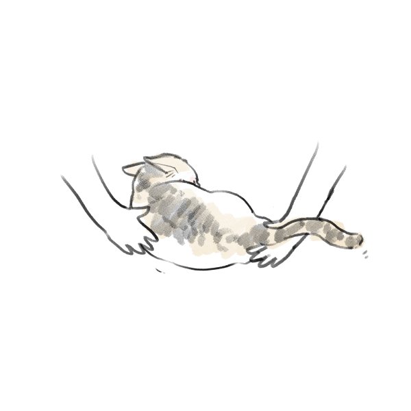 漫画『私のお姫さま』（54/64）