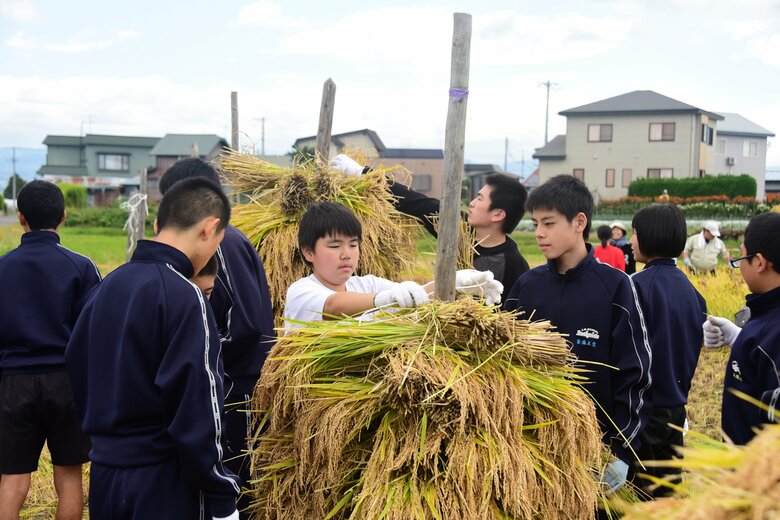 稲刈り体験ツアーの様子