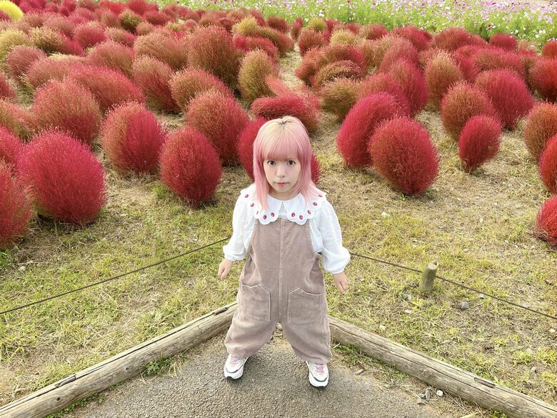 ピンクの髪の毛と似ている植物・コキアと一緒に