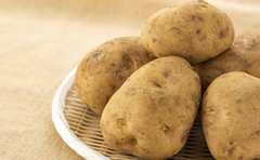 北斗晶さんのアレンジレシピが話題！食材よりも「美味しければOK」を基準に