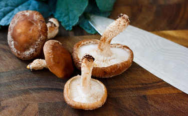 相葉雅紀さんの心をワシづかみ！？ 捨てがちなアレが万能調味料に