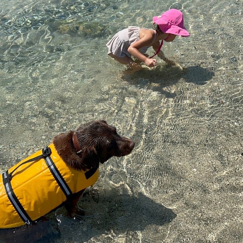ビーチで遊ぶ森さんのお子さん。生まれたときから動物に囲まれている生活だそう