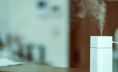 加湿器の正しい置き場所「正解はその下だったの!?」