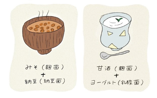 食べ合わせ_麹菌イラスト
