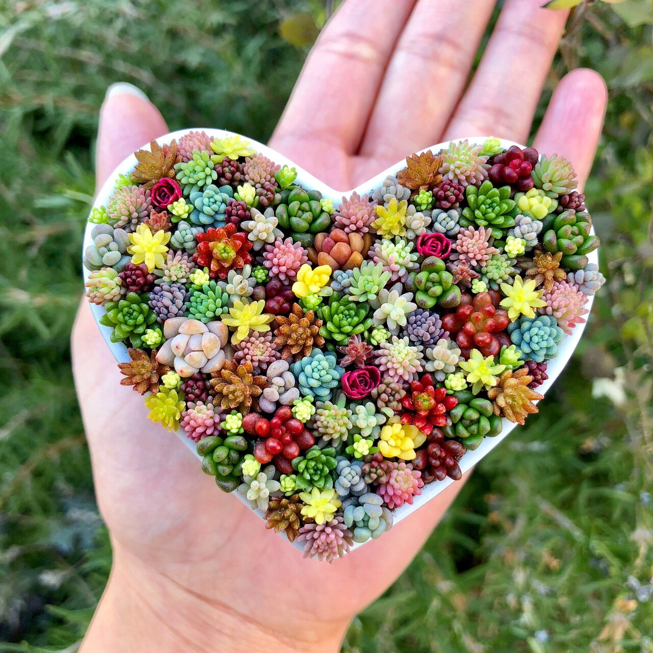 作品はとても小さく、手のひらに収まるくらいの大きさ(写真:MAiさんのInstagramより)