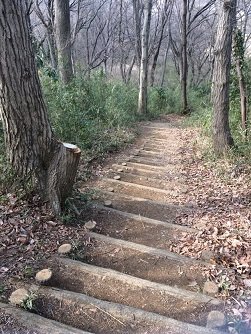 20170406-7