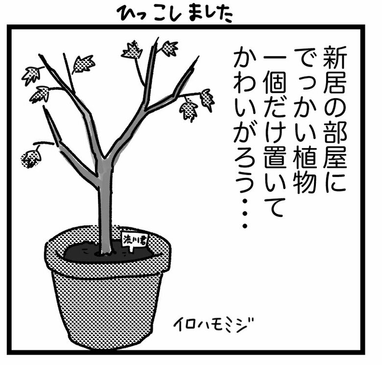 7万いいねがついたワンコロもちべヱさんの投稿漫画（1/5）