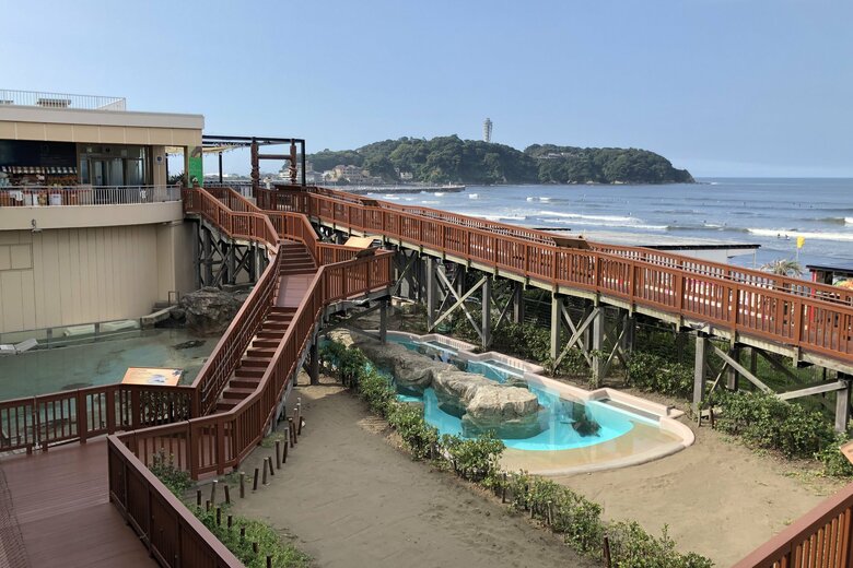 ウミガメの浜辺