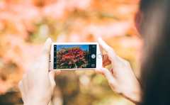 えらや鼻も修正できる！進化する写真加工アプリ「コンプレックスが消えた」