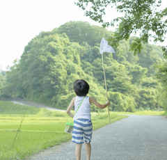 気持ち悪くて絶叫！ 夏休みに虫を勝手に飼う子供達「机の引き出しを開けたら…」