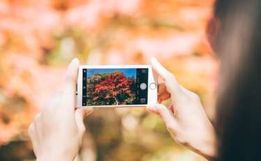 えらや鼻も修正できる！進化する写真加工アプリ「コンプレックスが消えた」