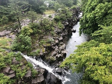 暑い夏は避暑地へGO!夏でも涼しいおすすめスポット5選