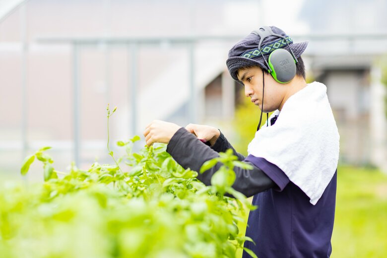 東大阪市の施設近辺の農園で農作業を行う、檜尾さんの長男