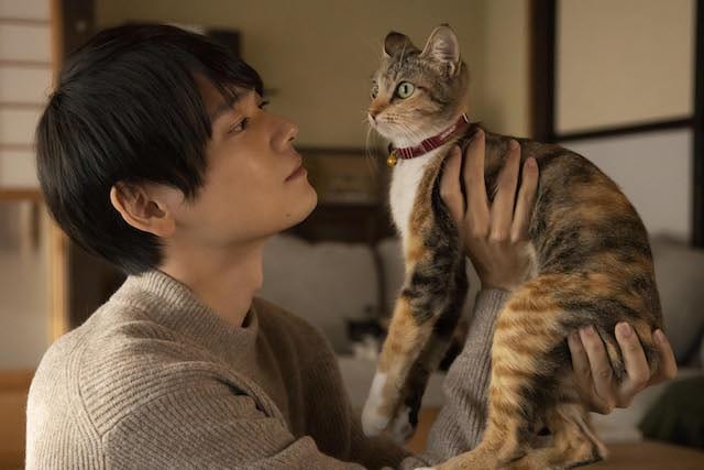 ©︎2022「ねこ物件」製作委員会