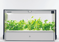 CHANTO1月号 訂正とお詫び