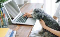 リモートワークの孤独感をうめる「仮想オフィス」が登場