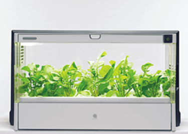 CHANTO1月号 訂正とお詫び