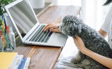 リモートワークの孤独感をうめる「仮想オフィス」が登場