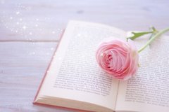 長原の小学生英会話教室3選