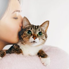 「待ってるニャン♡」不倫相手に旦那が送った〝誤爆メール〟が修羅場を招く!!