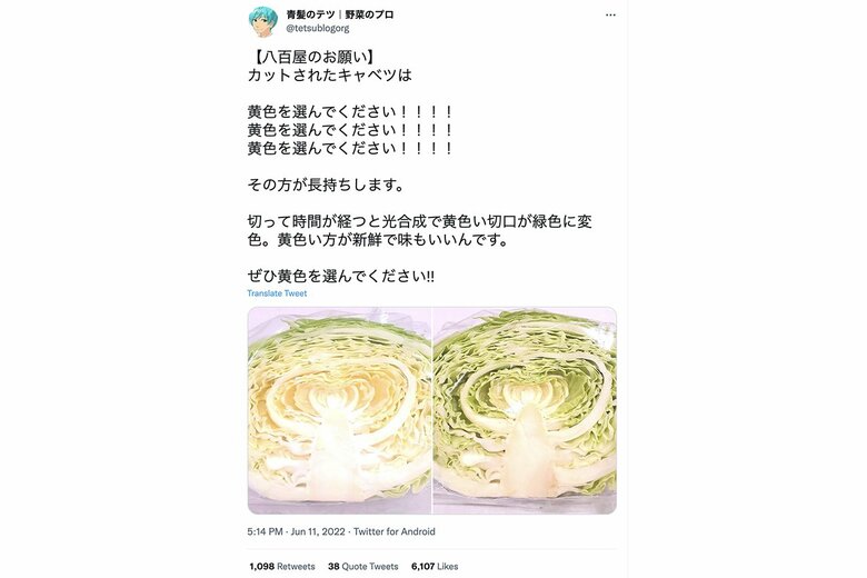 キャベツの選び方（青髪のテツさんのTwitterより）