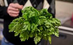 間違いだらけの野菜の常識「だから子供が野菜を食べない!?」