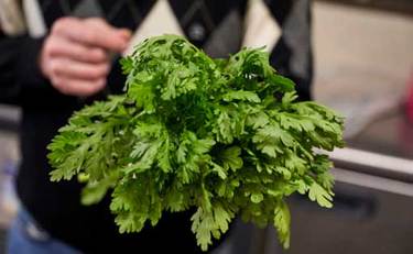 間違いだらけの野菜の常識「だから子供が野菜を食べない!?」