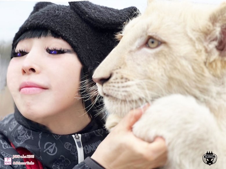 飼っているホワイトライオンのKINGくん