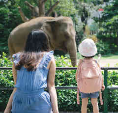 飼育員が落ち葉を園内の動物に食べさせてる親子を注意したら…