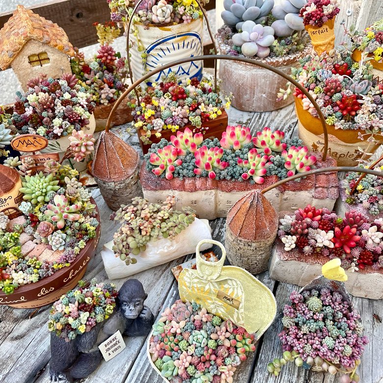 MAiさんが自宅で育てている寄せ植えたち。「容器選びも楽しいですよ」とMAiさん（写真：MAiさんのInstagramより）