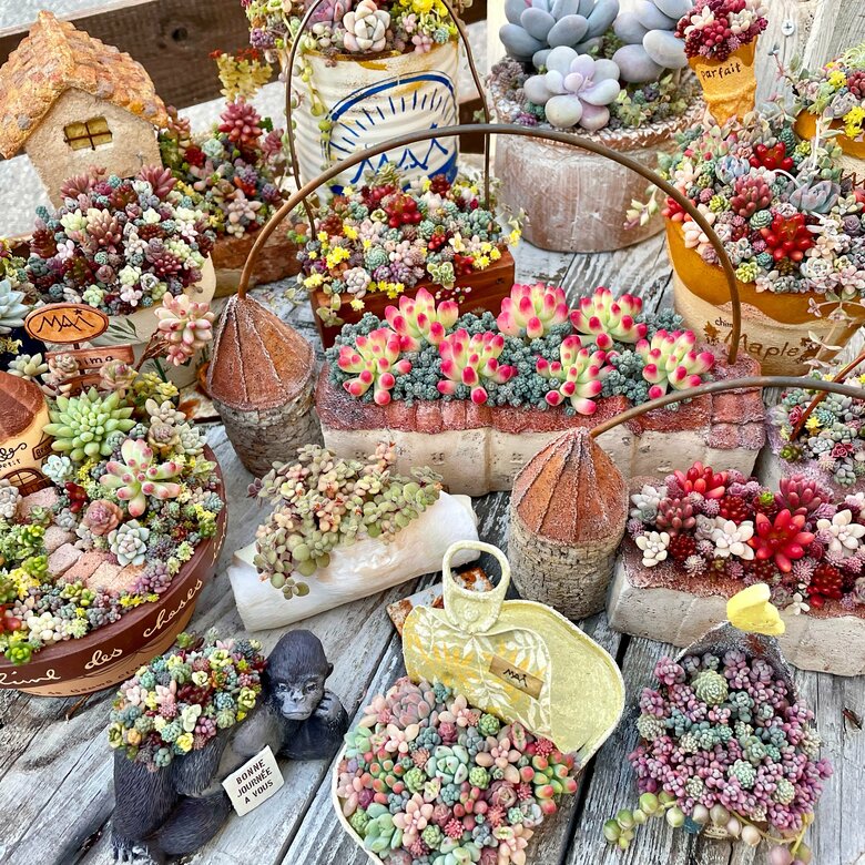 MAiさんが自宅で育てている寄せ植えたち。「容器選びも楽しいですよ」とMAiさん（写真：MAiさんのInstagramより）