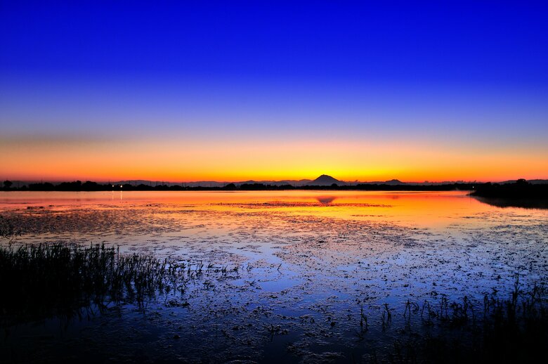 琵琶湖に面した草津市では四季折々の絶景が楽しめる