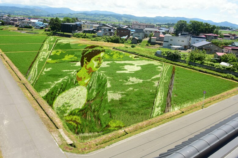 令和4年の第1田んぼアート作品「湖畔」（2022年7月7日現在）