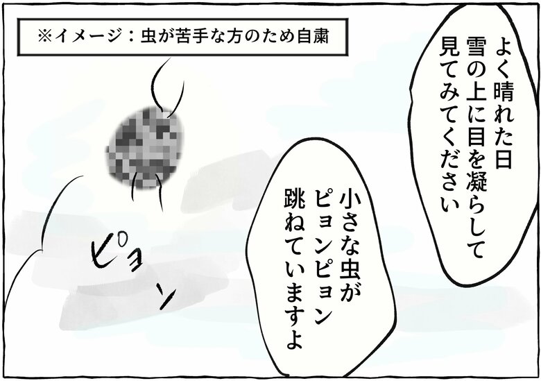 漫画「田舎に来て『何もないね』と言う都会の人に思うこと」P10