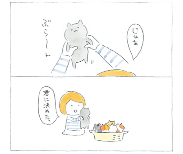 『まめねこ』1巻1話より (C)ねこまき