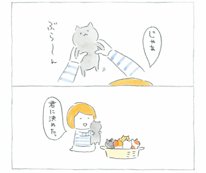 主人公が友人から猫を譲り受ける場面。子猫の可愛さに悶絶必至…！　『まめねこ』1巻ひとさやめ（さくら舎）より (C)ねこまき