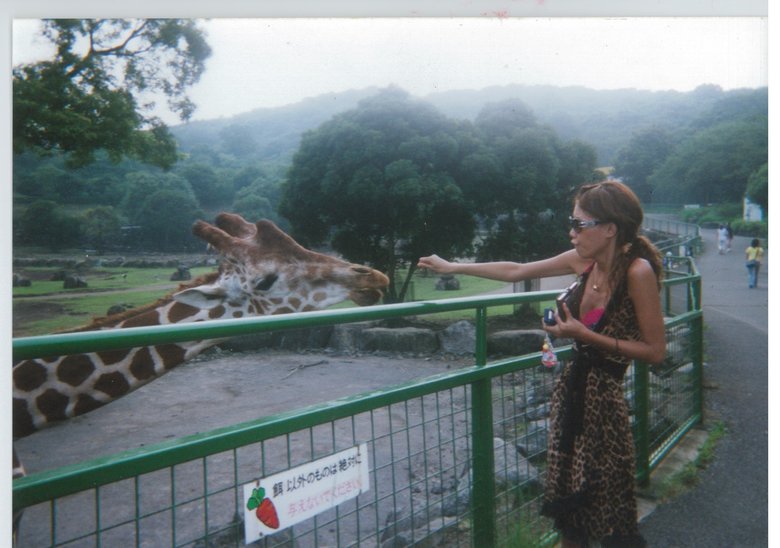 キリンに餌をあげるギャル時代の紺野さん