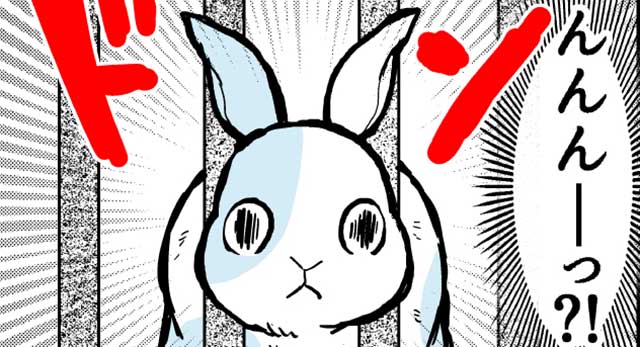 漫画 ウサゴク 作者が描く かわいいだけじゃないウサギの現実 Chanto Web