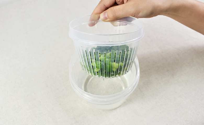 セリアのおすすめキッチン用品「薬味保存パック」の実物画像5