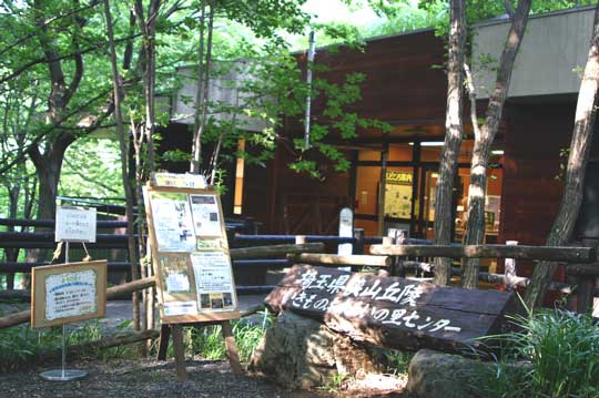 自然散策の前にセンターでの情報収集がおすすめ