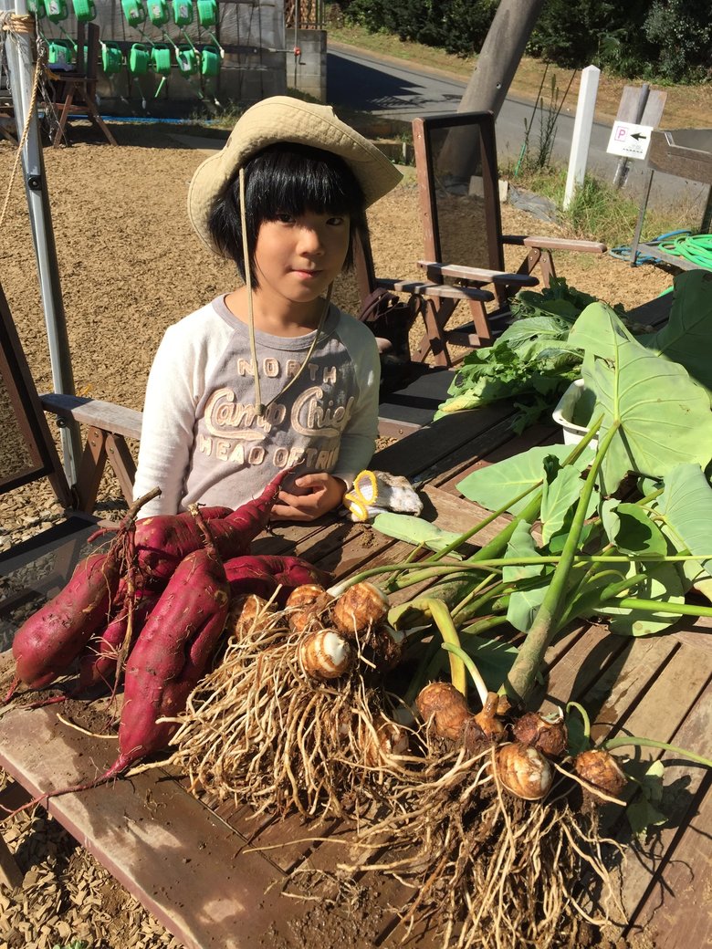 7歳7ヶ月。さつまいもを収穫