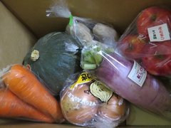 やらなきゃ損！手続き簡単！ふるさと納税で失敗しない節約テク