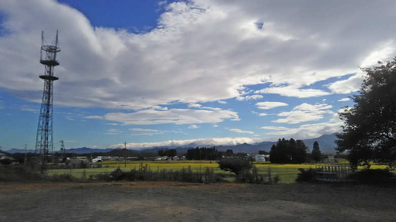 身近なところに田園が風景が広がっているという和久井さん。その土地ならではの「当たり前」に戸惑うことも。