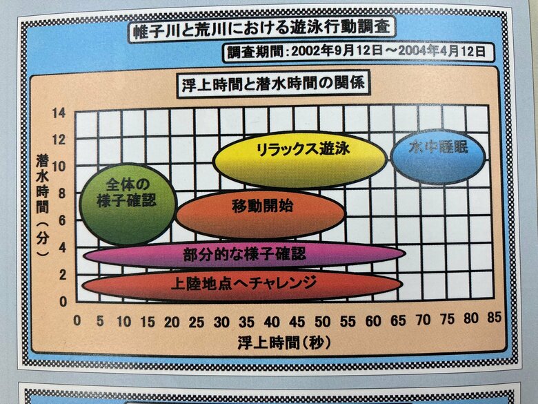 アゴヒゲアザラシのタマちゃんの行動観察記録の一部