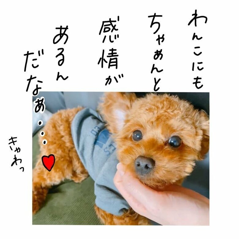 漫画「震えるこむぎくん」P9