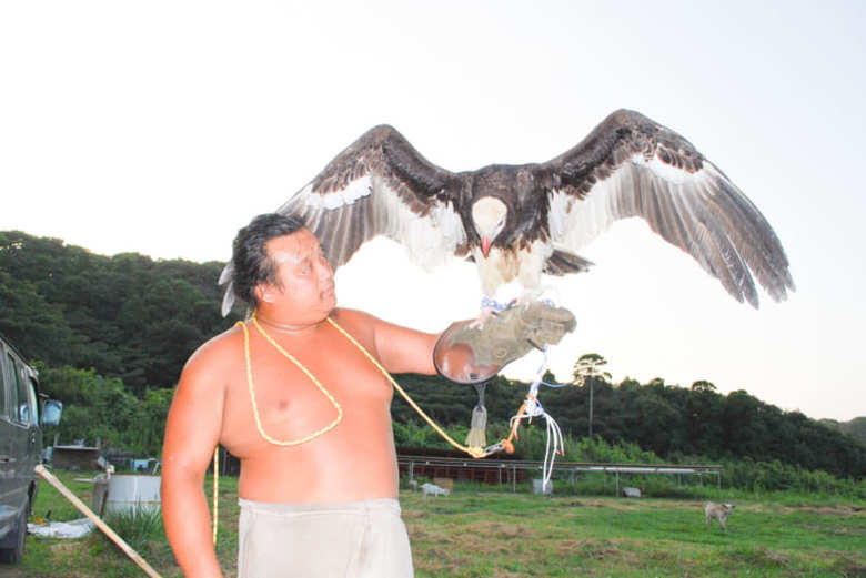 鷹匠（たかじょう）としてタカも操る町田さん