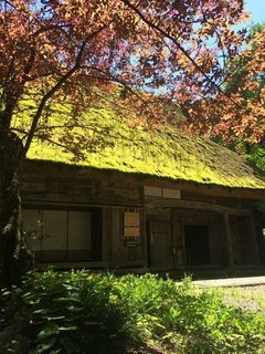 青ロスママへ送る岐阜の魅力！第二弾